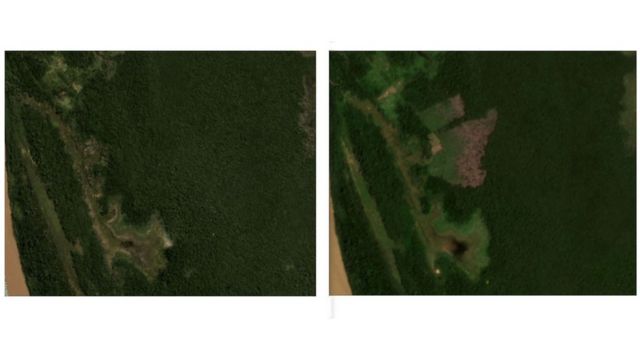Imagens de satélite mostram desmatamento em lote anunciado no Facebook