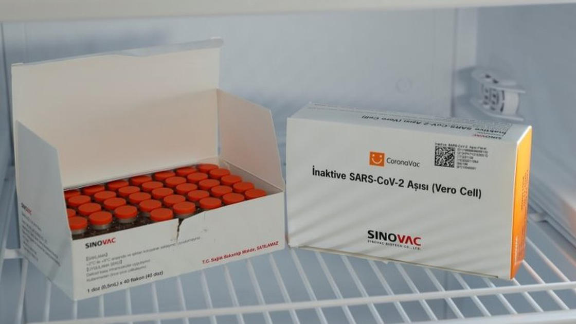 Por enquanto, as vacinas mais próximas da aplicação no Brasil são a da Sinovac (acima) e a da AstraZeneca