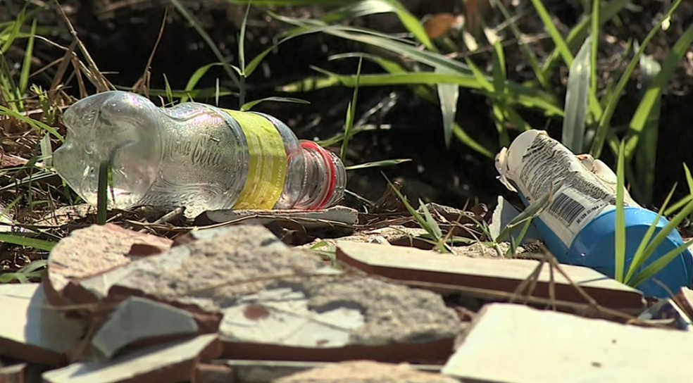 Lixo é o principal criadouro do Aedes Aegypti — Foto: Reprodução EPTV