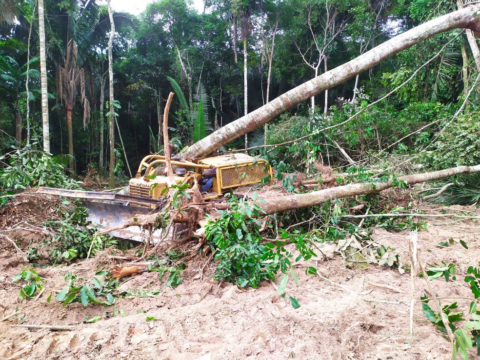 Árvore caiu em cima de trator em Guajará-Mirim — Foto: Divulgação